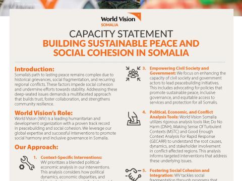 Peace Building Capacity Statement